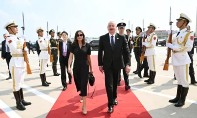 0e41b5ee1638de1ae95cd625ba3b5876